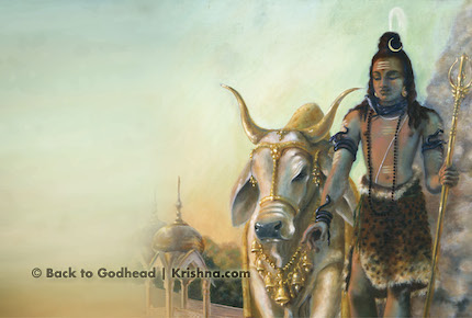 LORD SHIVA INFORMS ABOUT A WORSHIP HIGHER THAN THAT OF KRISHNA'S