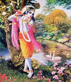 essay writing about krishna